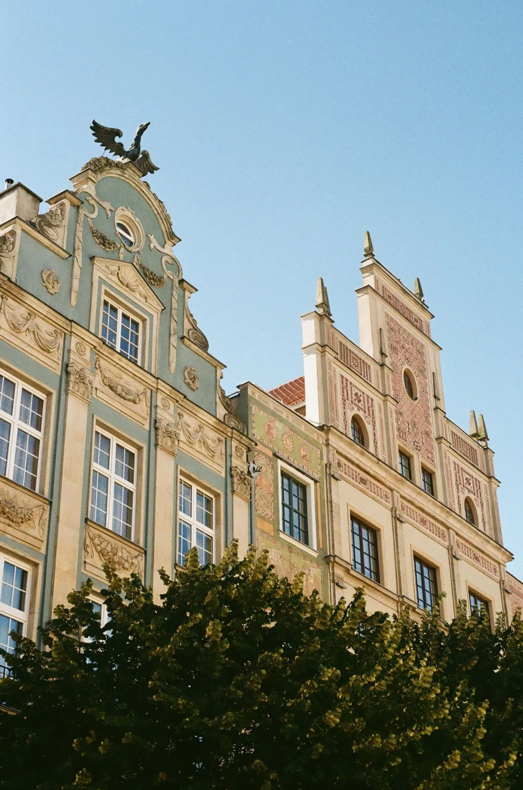 Sunlit ornate façades in Gdańsk beneath a clear blue sky.